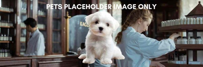 1200x400 Post Header (2)