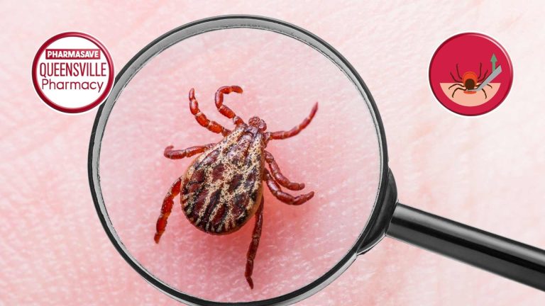 Magnified image of a tick on skin.